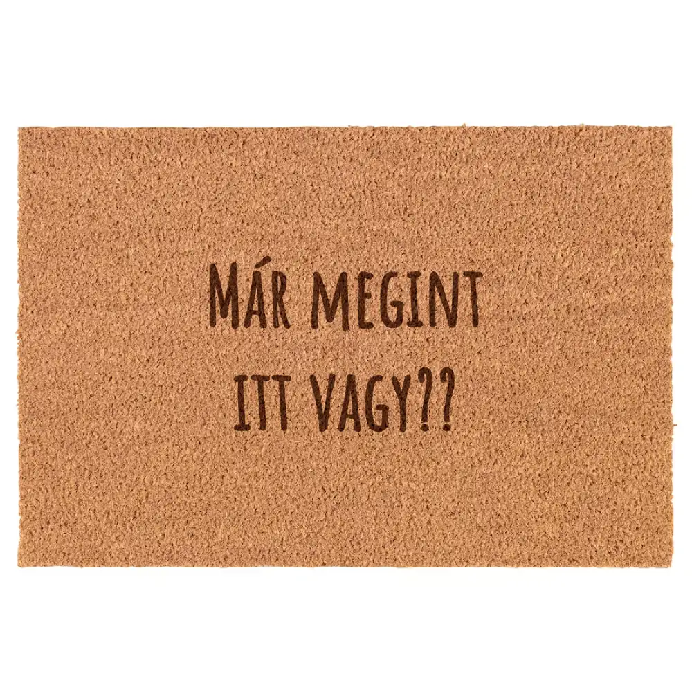 Már megint itt vagy?? lábtörlő