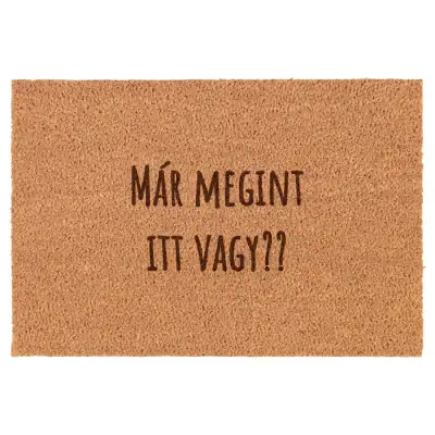 Már megint itt vagy?? lábtörlő